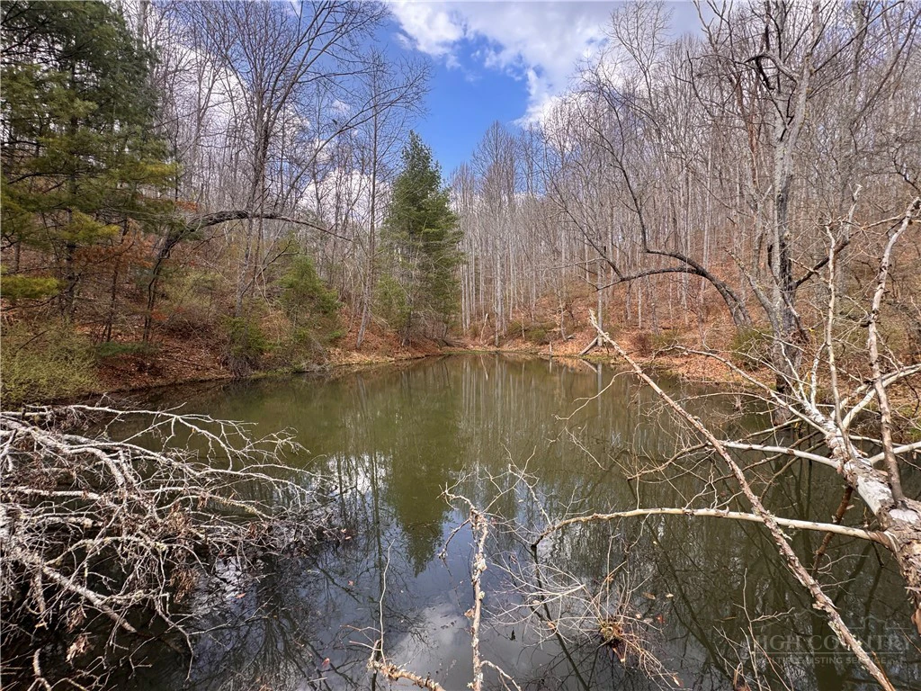 Image number 14 for the current listing