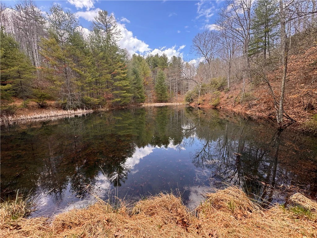 Image number 15 for the current listing