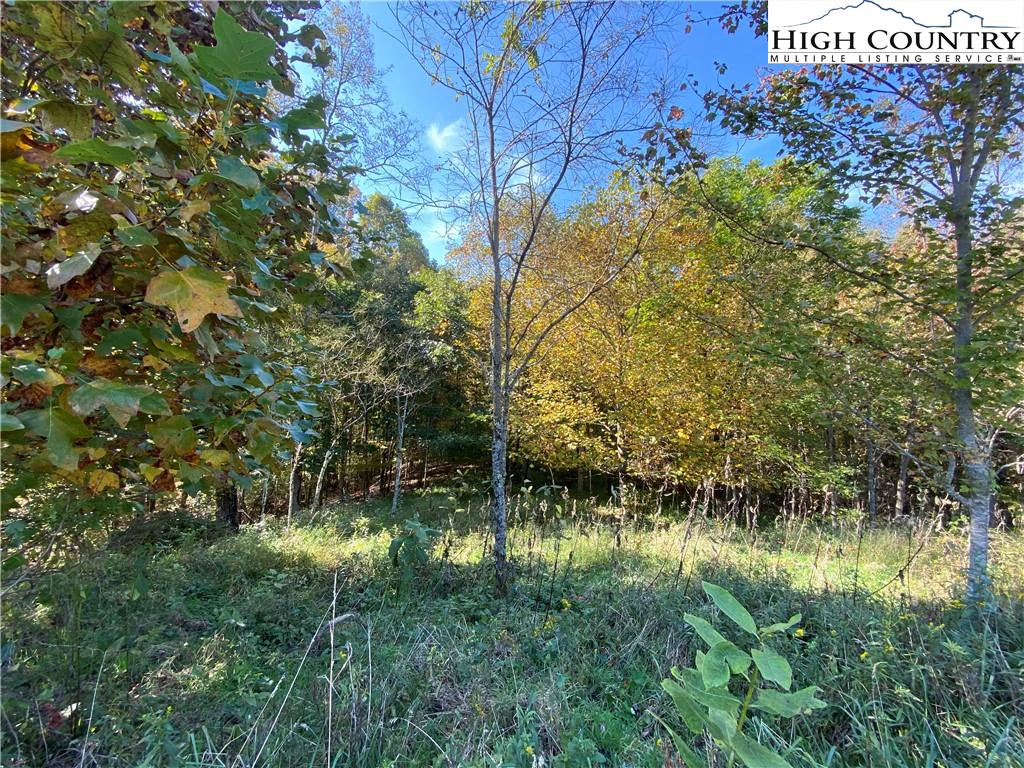 Image number 1 for the current listing