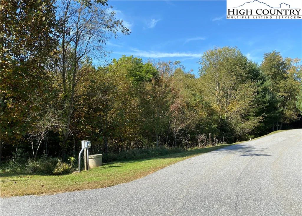 Image number 16 for the current listing