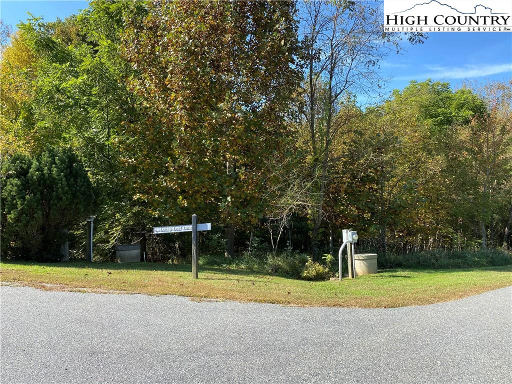 Image number 15 for the current listing