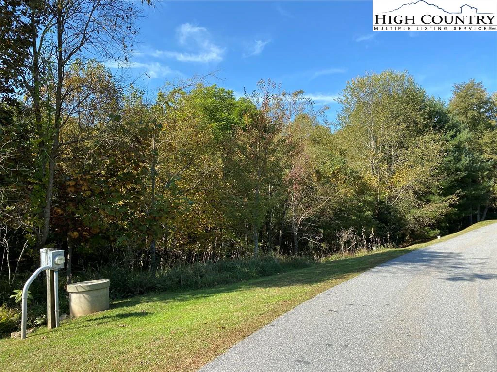 Image number 2 for the current listing
