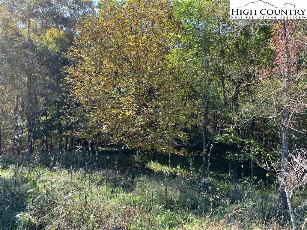 Image number 14 for the current listing