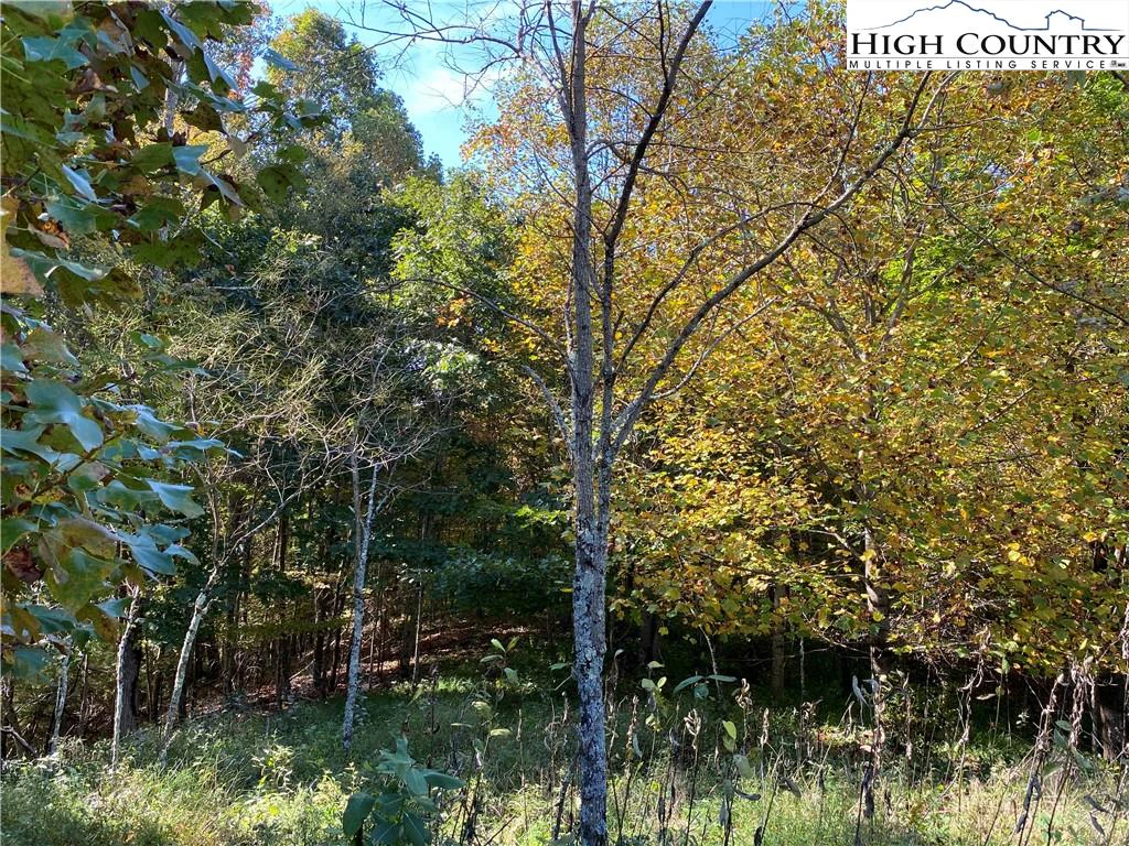 Image number 13 for the current listing
