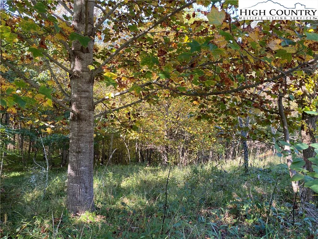 Image number 11 for the current listing