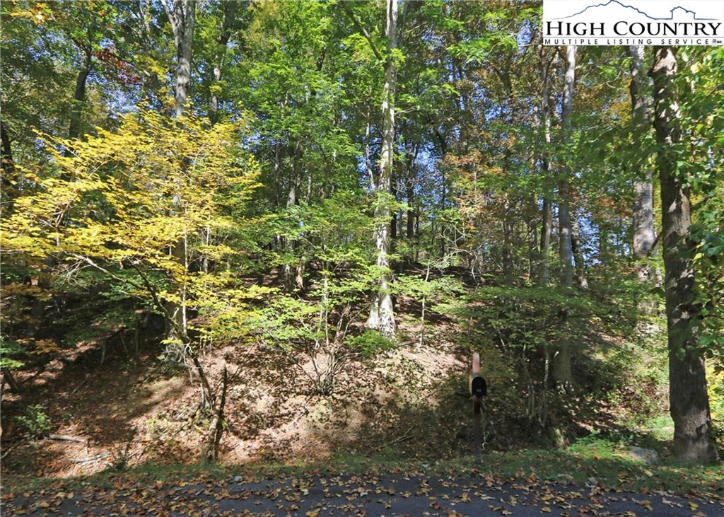 Image number 10 for the current listing
