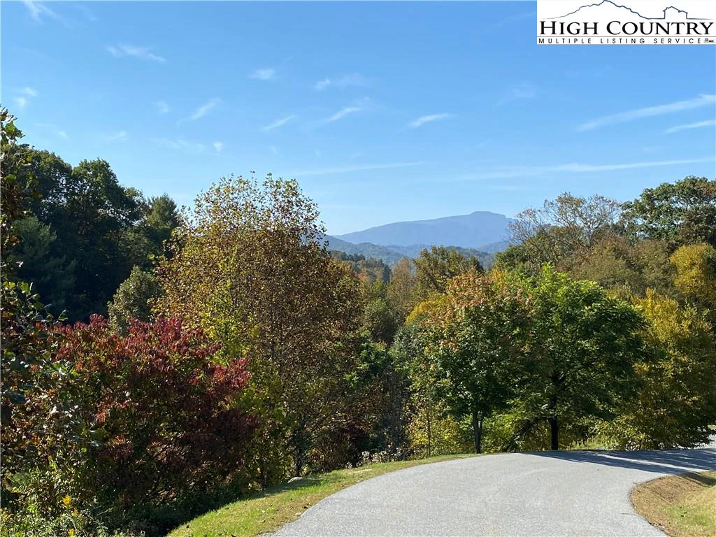 Image number 6 for the current listing