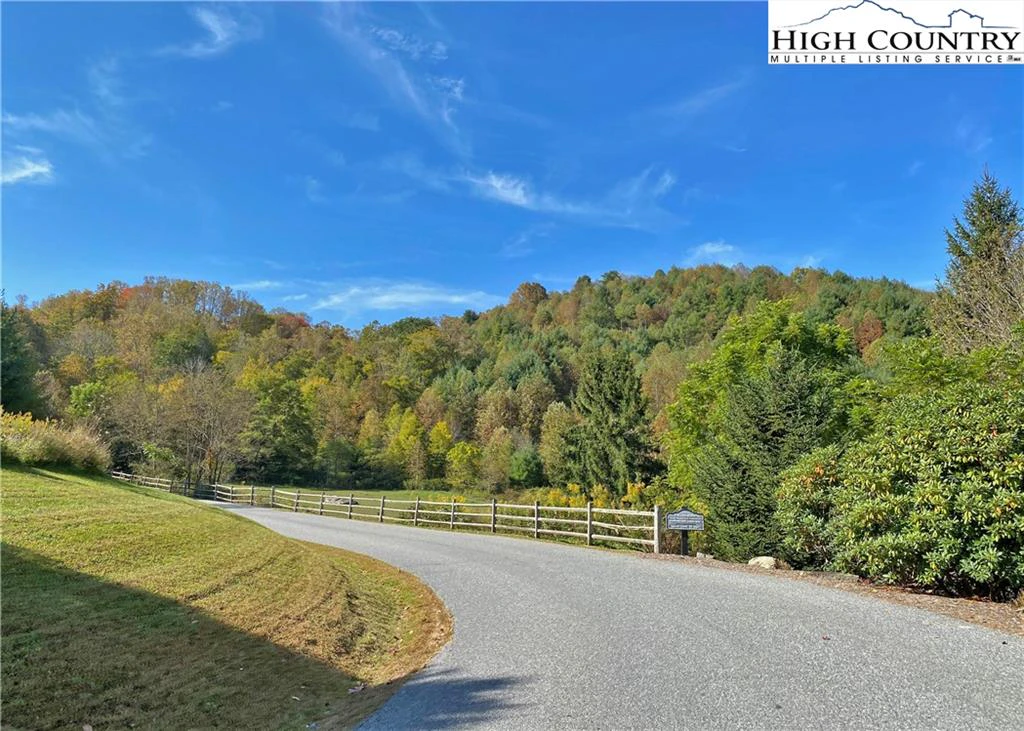 Image number 5 for the current listing