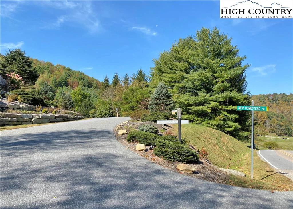 Image number 3 for the current listing