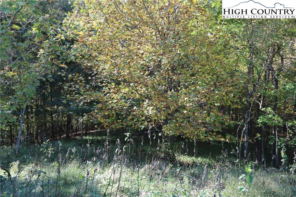 Image number 22 for the current listing