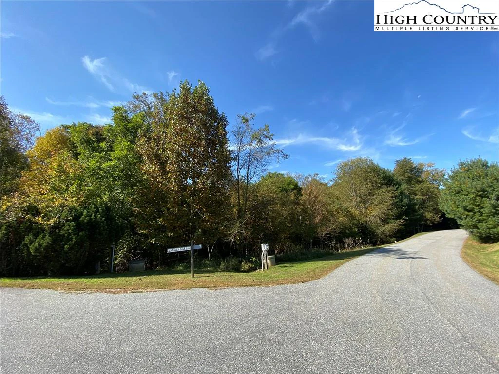 Image number 21 for the current listing