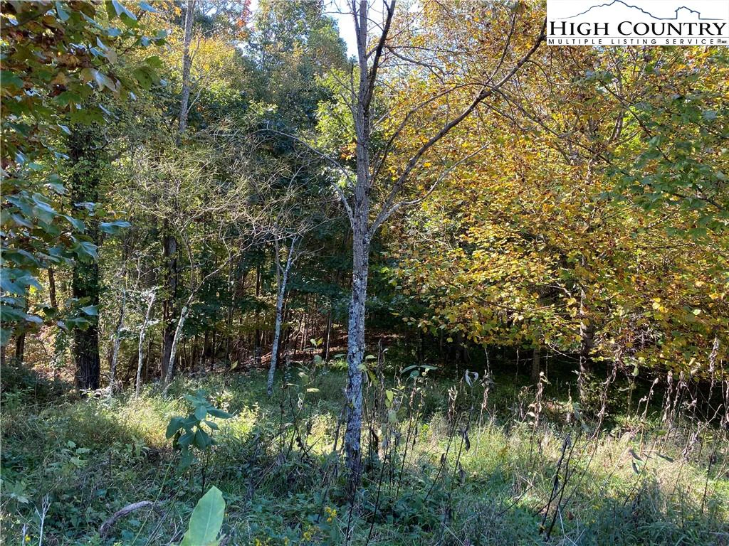 Image number 18 for the current listing