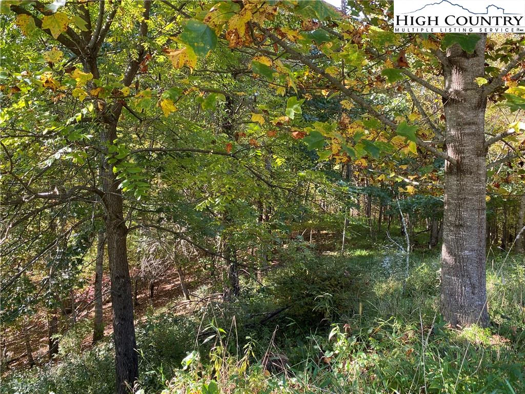 Image number 17 for the current listing