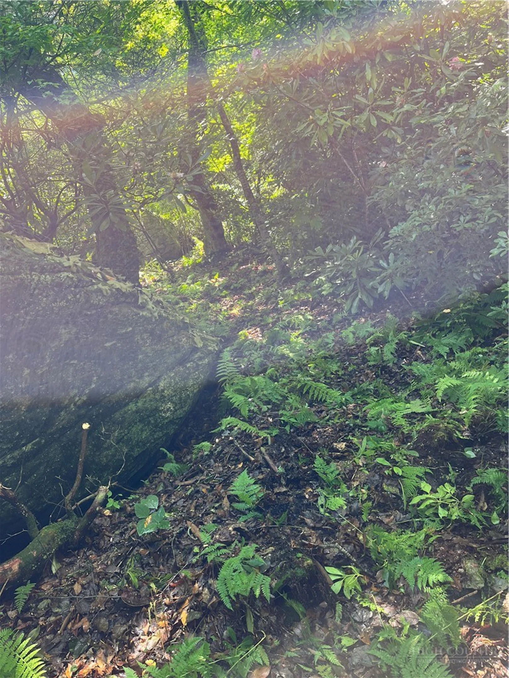 Image number 7 for the current listing