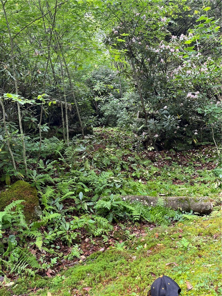 Image number 8 for the current listing