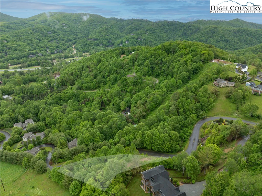 Image number 4 for the current listing