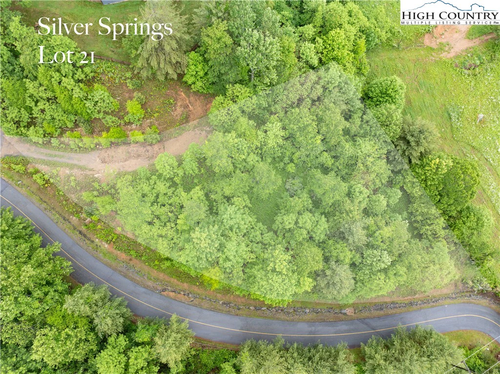 Image number 7 for the current listing