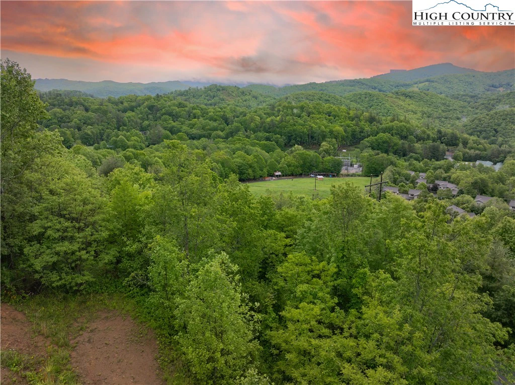 Image number 1 for the current listing