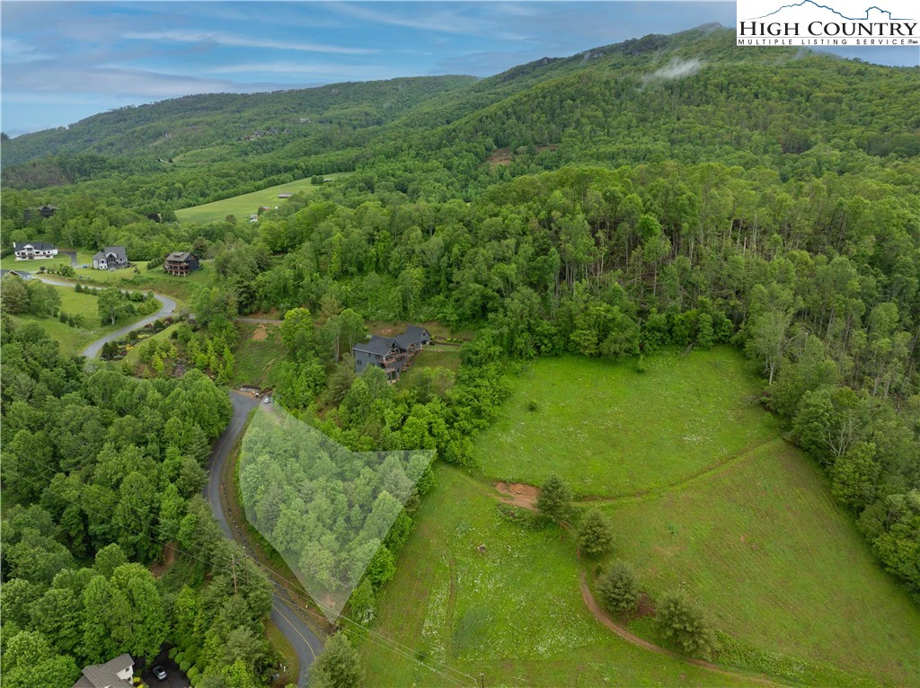 Image number 12 for the current listing