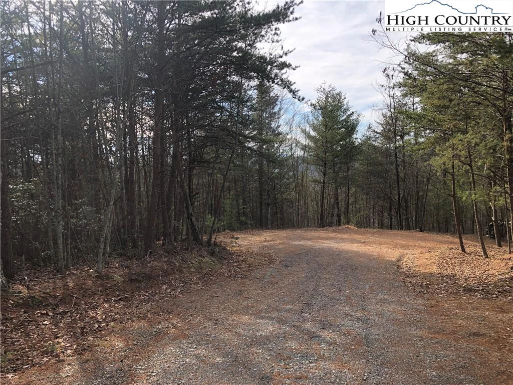 Image number 1 for the current listing