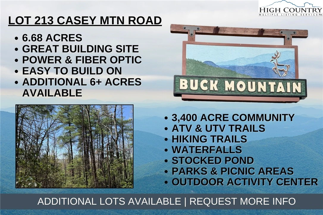 Image number 1 for the current listing
