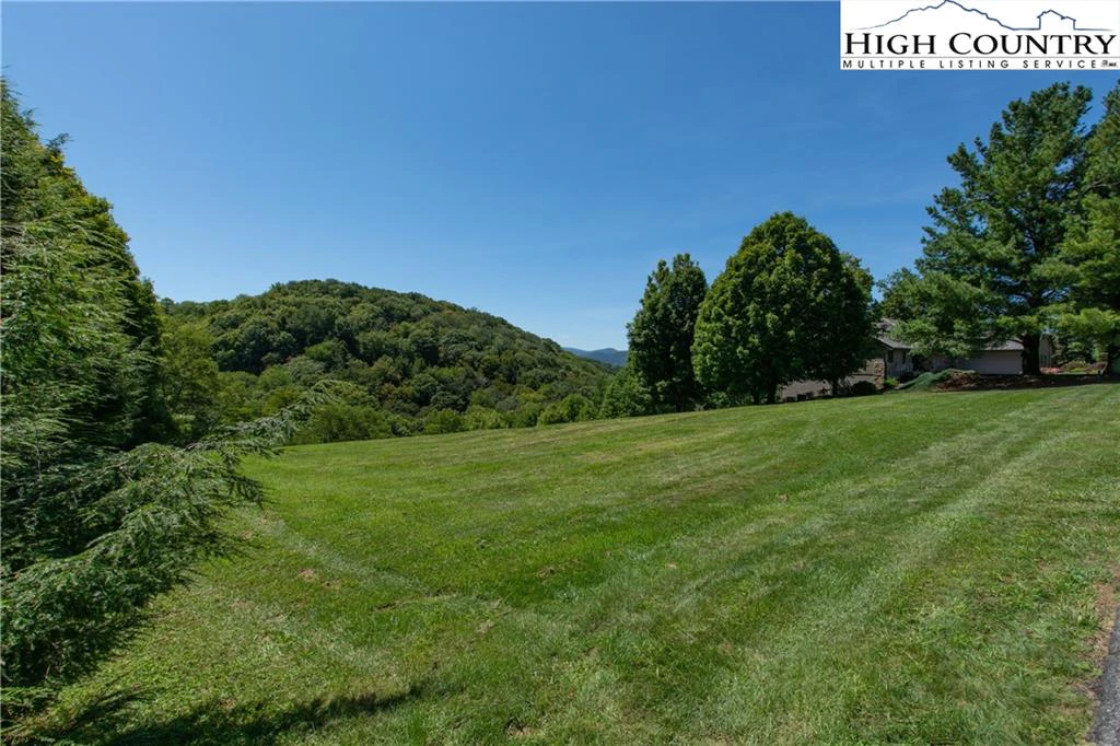 Image number 1 for the current listing