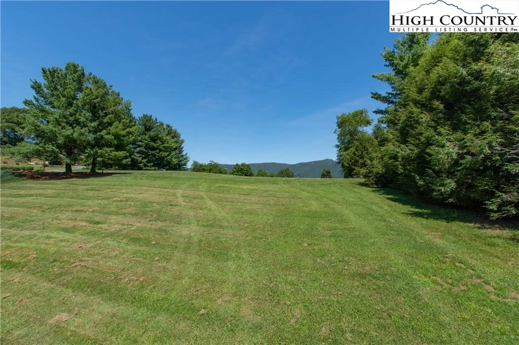 Image number 11 for the current listing