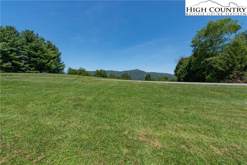 Image number 12 for the current listing