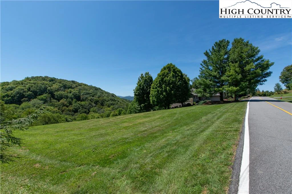 Image number 3 for the current listing