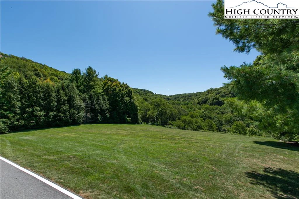 Image number 5 for the current listing