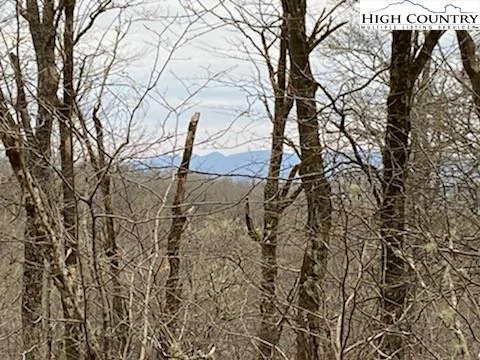 Image number 1 for the current listing