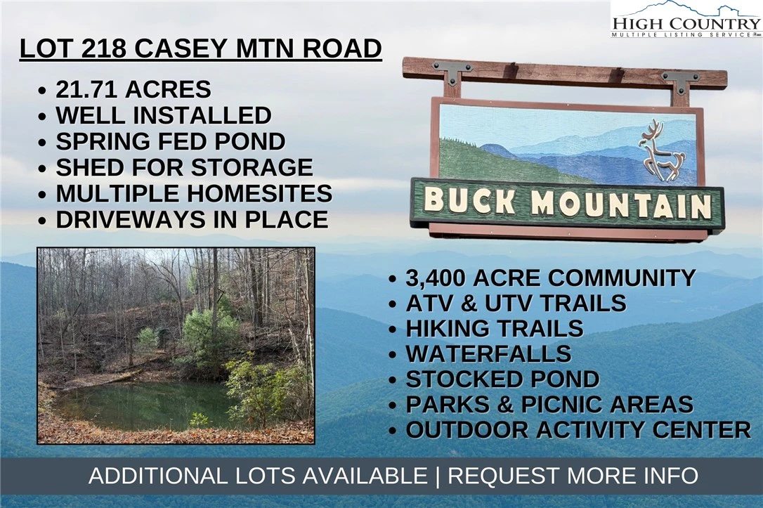 Image number 1 for the current listing