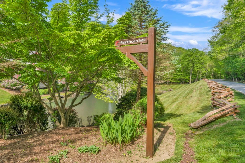 Image number 3 for the current listing