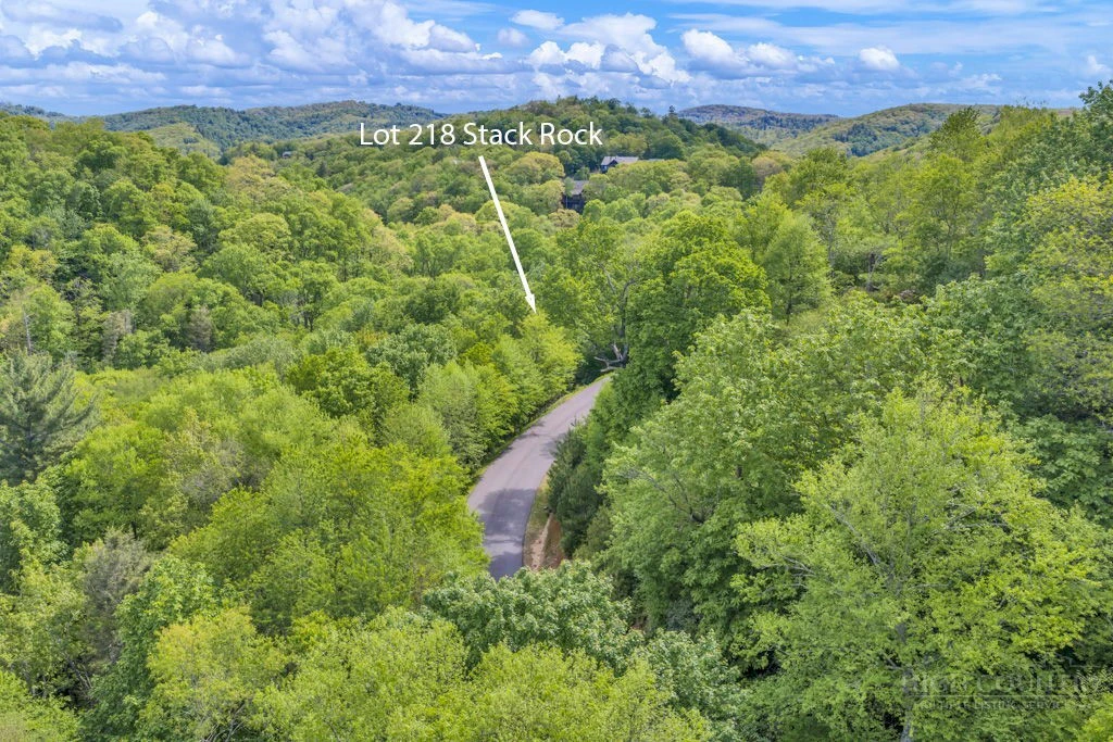 Image number 1 for the current listing