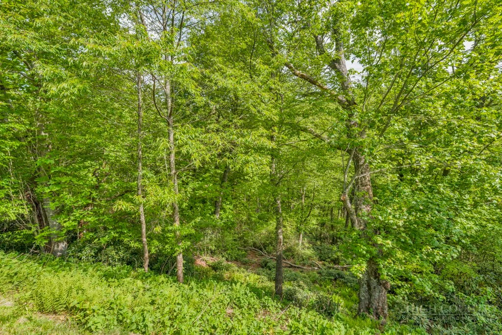 Image number 8 for the current listing