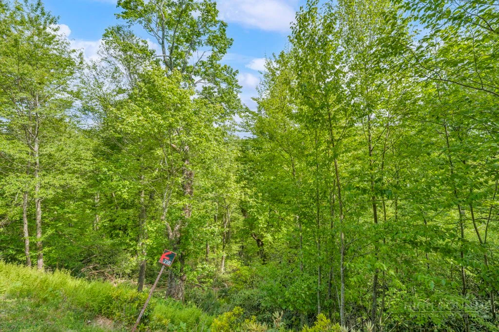 Image number 9 for the current listing