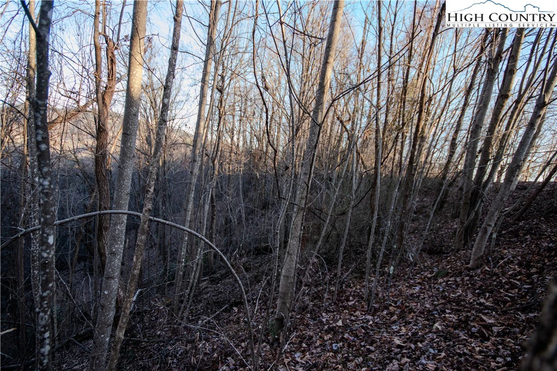 Image number 3 for the current listing