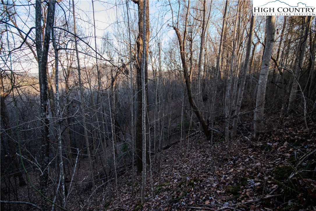 Image number 4 for the current listing