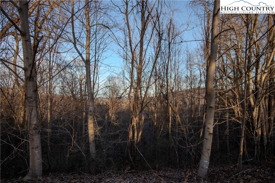 Image number 1 for the current listing