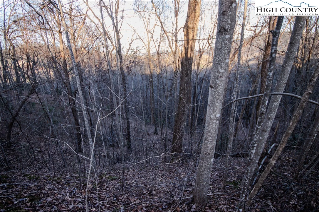 Image number 11 for the current listing