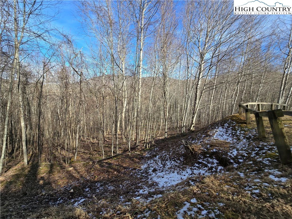 Image number 3 for the current listing