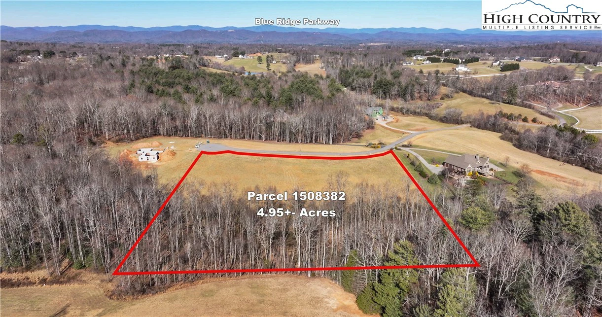 Image number 1 for the current listing