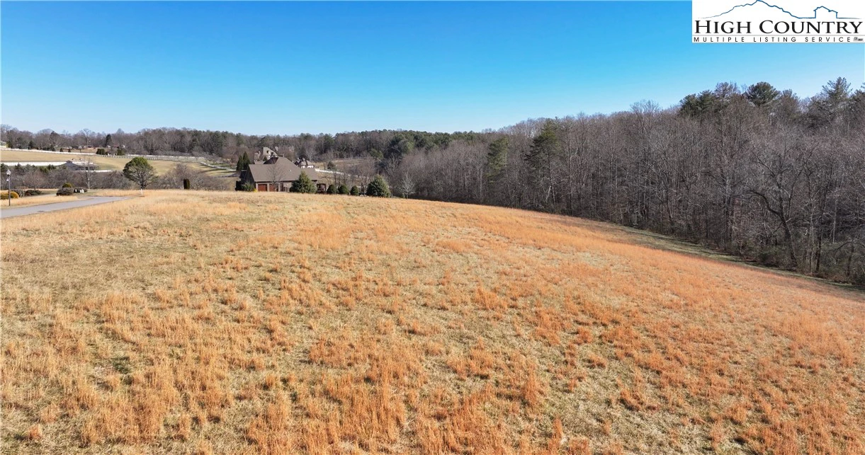 Image number 2 for the current listing