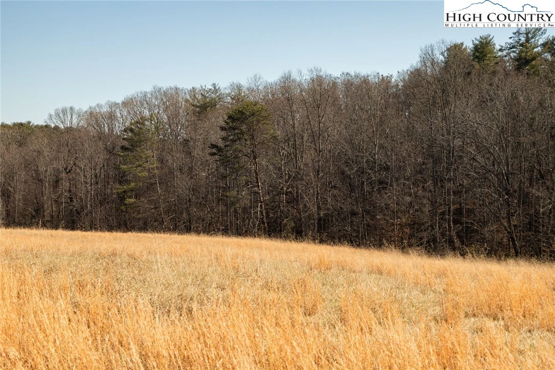Image number 3 for the current listing