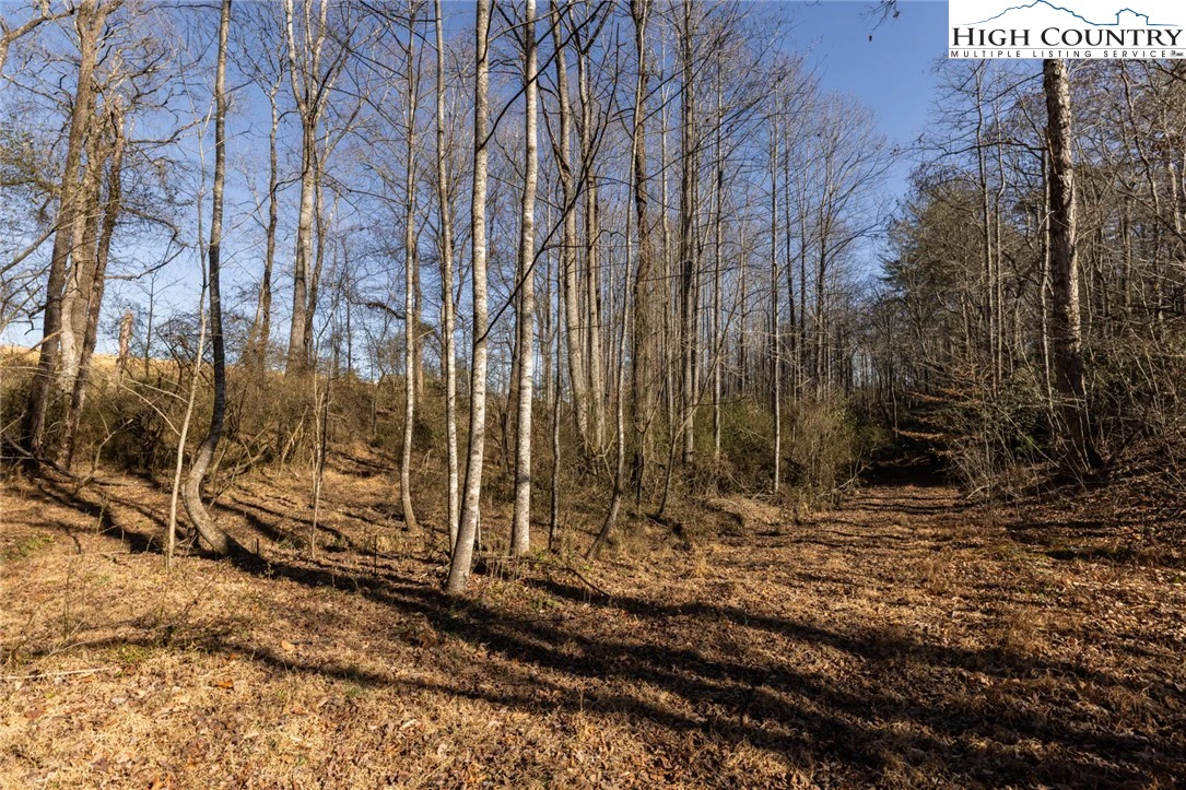 Image number 4 for the current listing