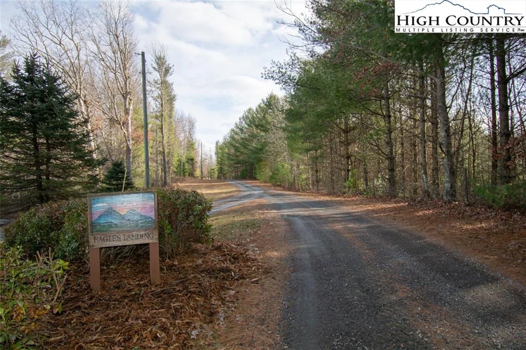 Image number 1 for the current listing