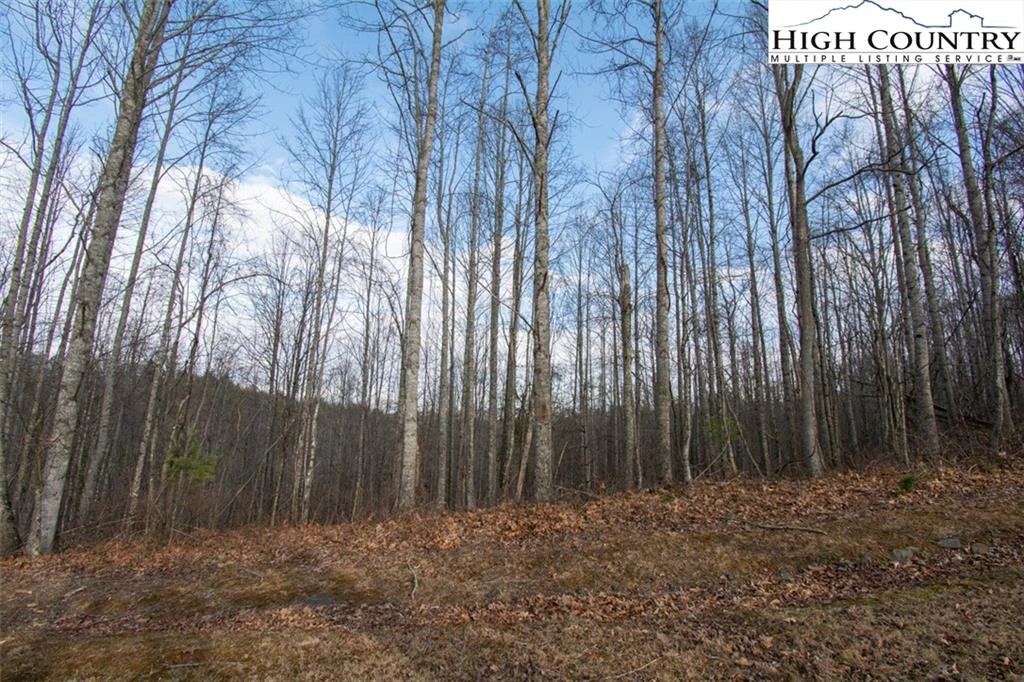 Image number 3 for the current listing