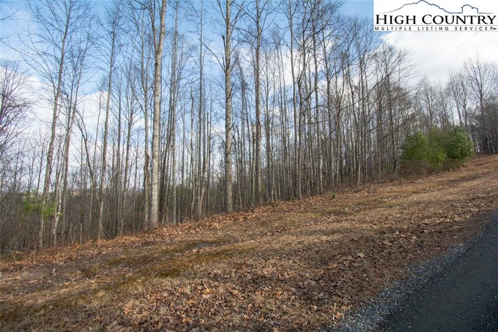 Image number 4 for the current listing
