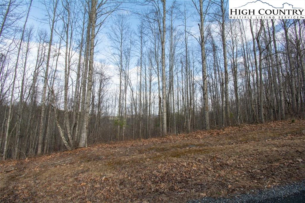 Image number 5 for the current listing