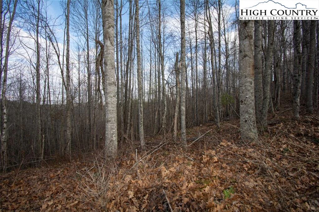 Image number 6 for the current listing